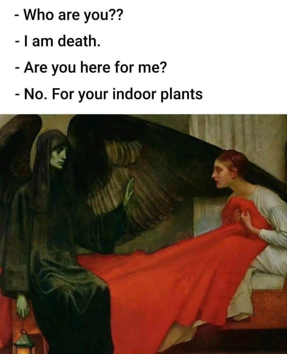 Death coming for your soul but stopping for your forgotten houseplants lol