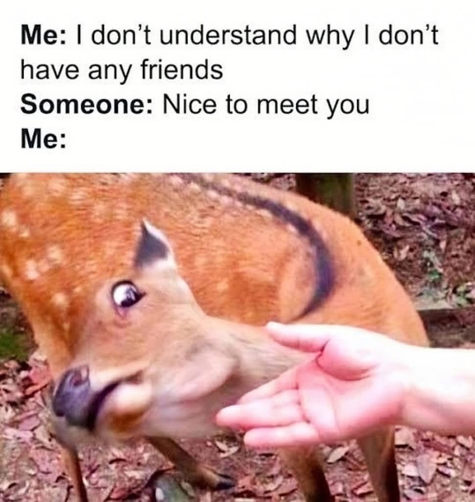 When you can't figure out why you're alone but then someone tries to talk to you and you panic