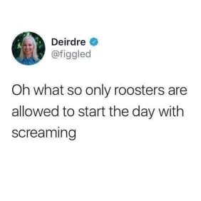 When you realize your alarm clock is basically just a rooster...