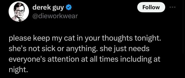 My cat not being sick but needing attention 24/7, especially at night.