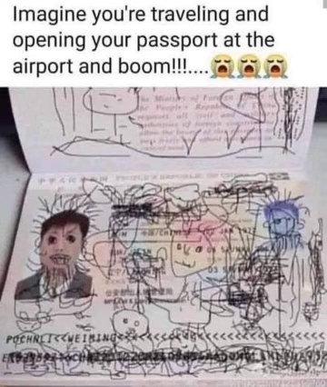 Rip your passport to shreds and you might get creative new stamps, maybe?