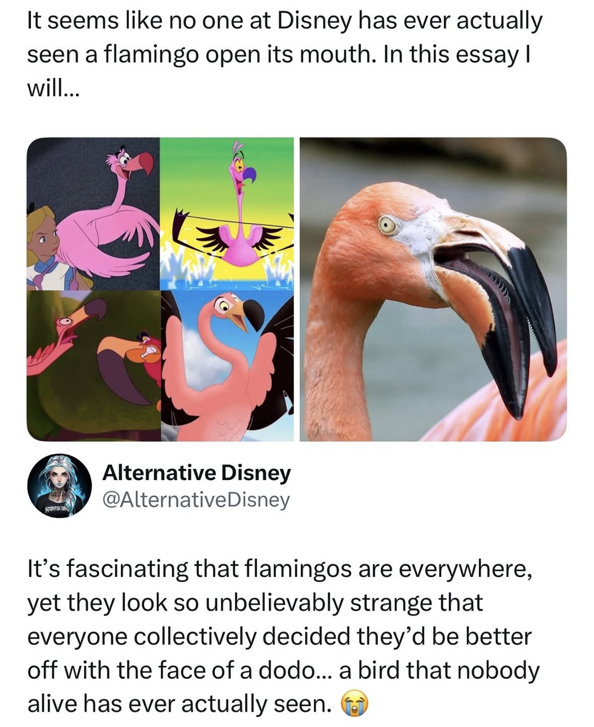 Disney really said flamingos have mouths that look like that and they're right.