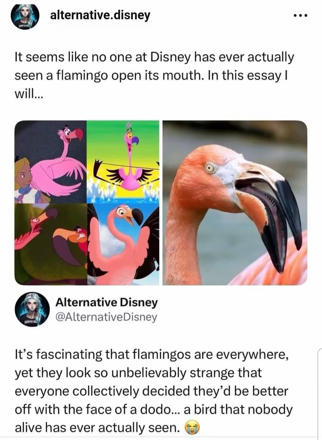 Disney artists really went off-script when drawing flamingos and it shows.