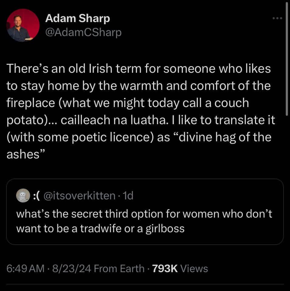 Someone translated an old Irish term for a homebody as 'divine hag of the ashes' and it's like, my new personal brand