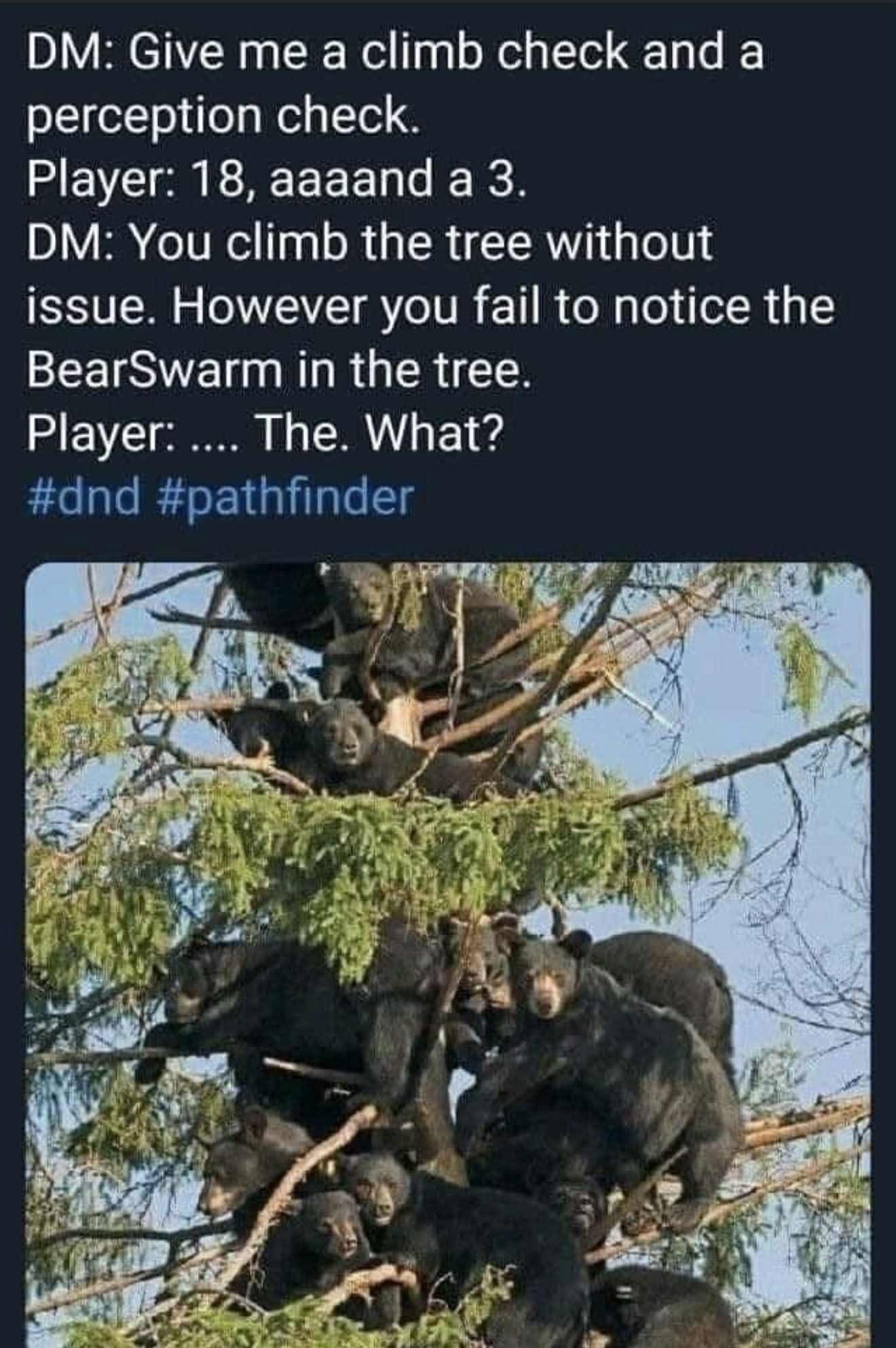 When your D&D DM describes a tree and you don't notice the literal swarm of bears