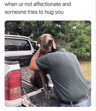 Me trying to avoid any human contact but someone always gotta hug me.