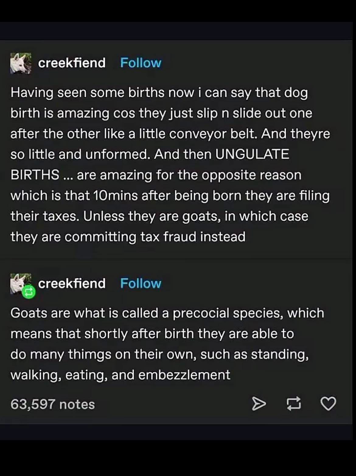 Apparently baby goats are born ready to commit tax fraud.