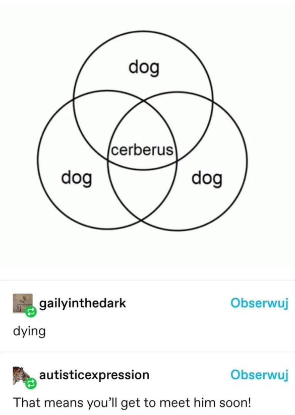 Dog, dog, dog, and cerberus... guess I'm meeting my doom soon lol
