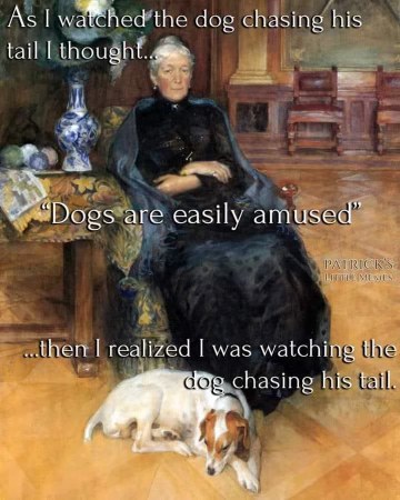 When you think dogs are easily amused but then you realize you were the one watching the dog chase its tail.