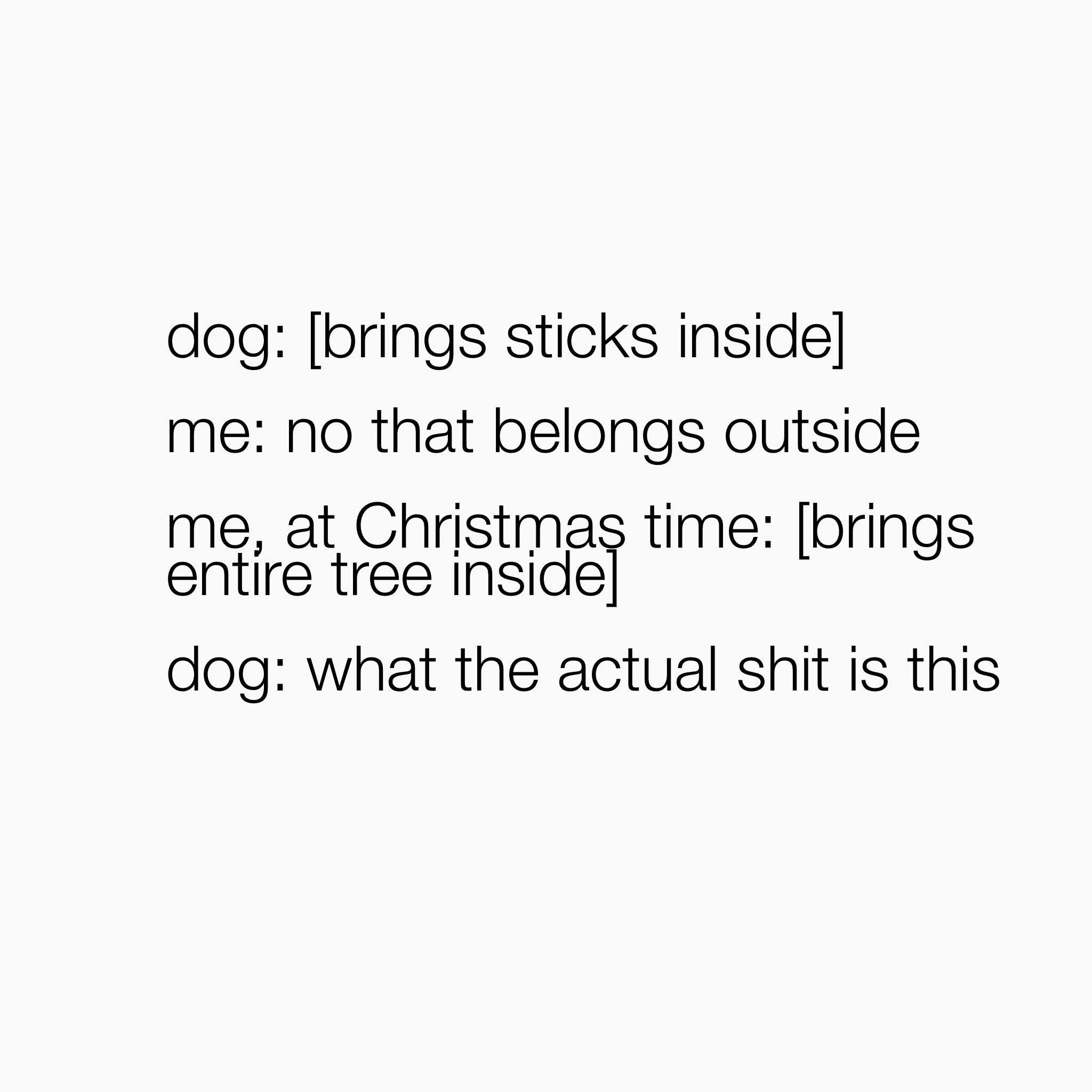 When you tell your dog sticks belong outside but then you bring a whole tree inside for Christmas