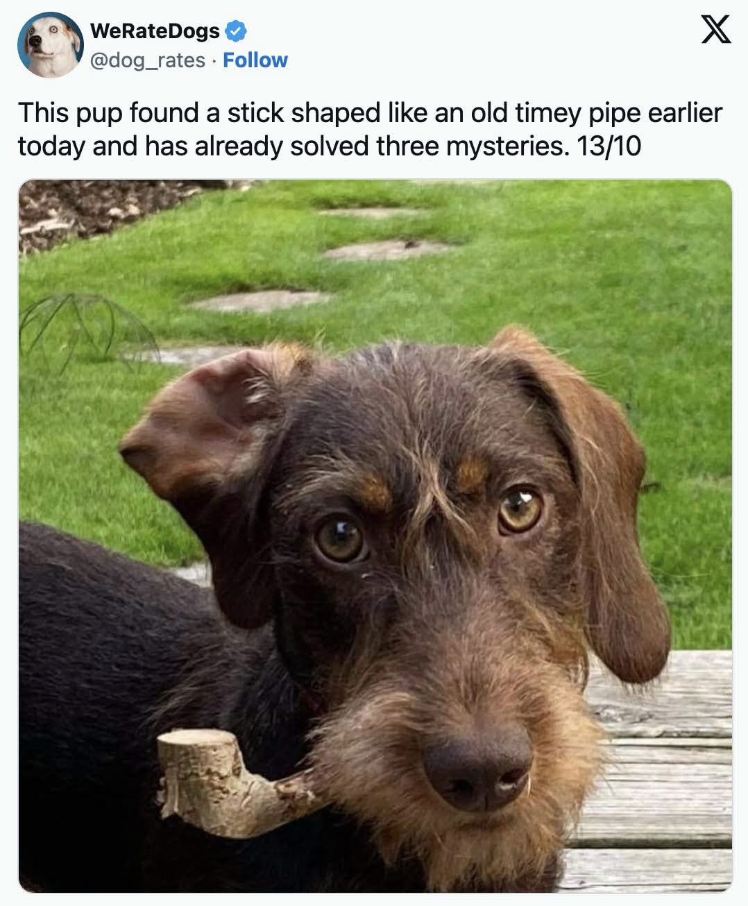 This dog found a stick that looks like a pipe and is apparently a genius detective now.