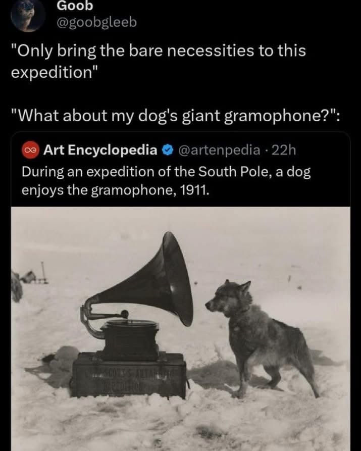 My dog really said 'priorities' on this expedition lol