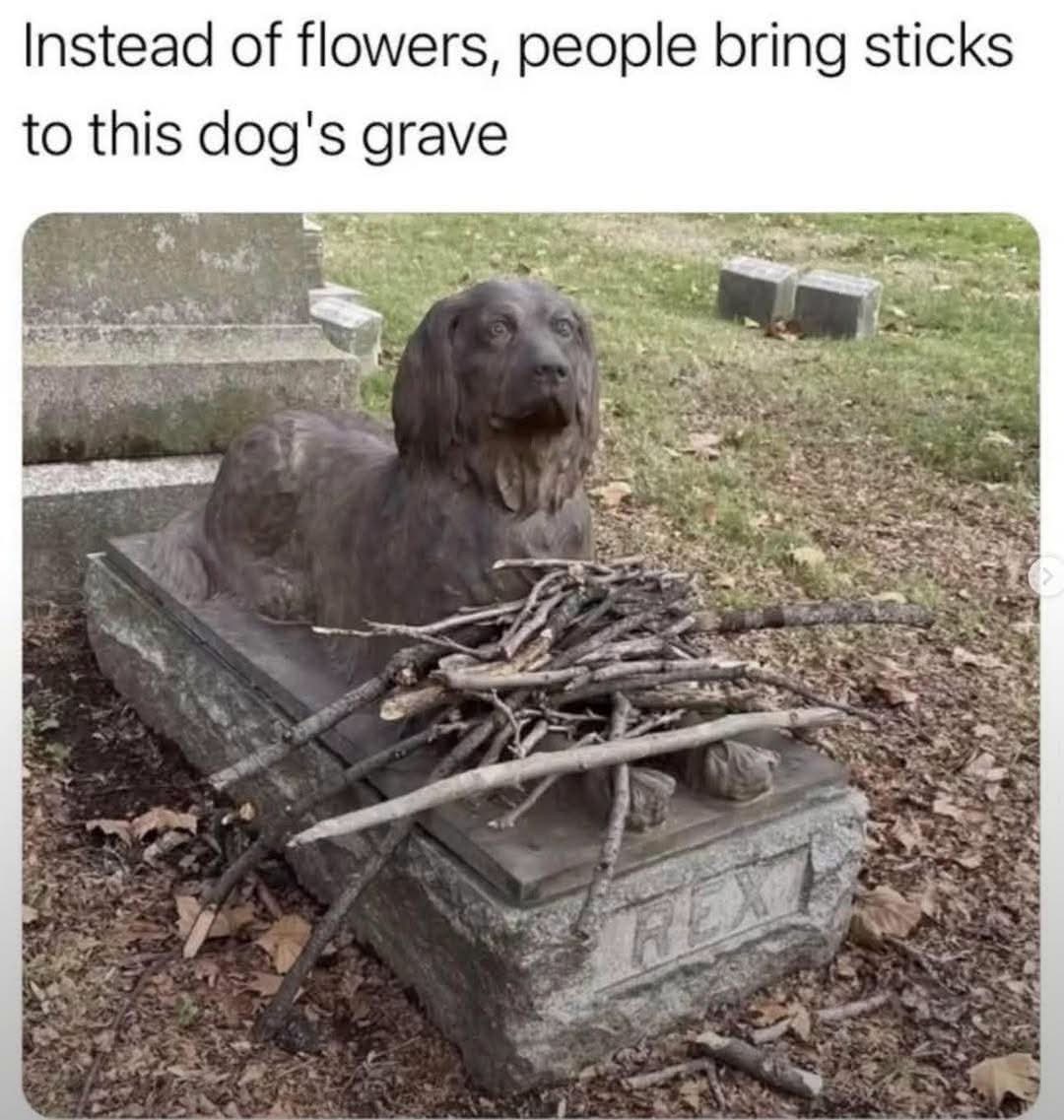 Guess this dog just LOVES fetch even from beyond the grave