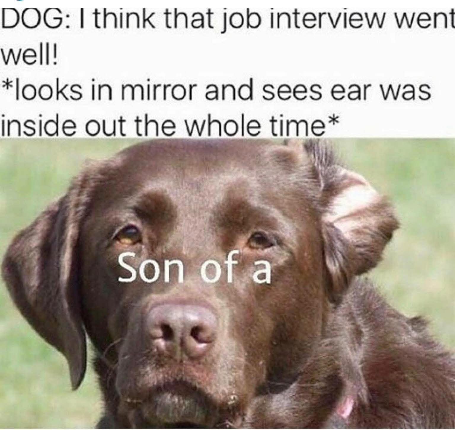 When you think you aced the interview but realize your ear was inside out the whole time