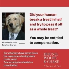 This dog lawyer is ready to sue your human for treat fraud.