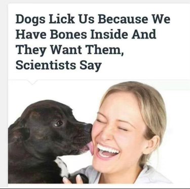 So THAT'S why my dog keeps trying to eat my face. Scientists, you've done it again.