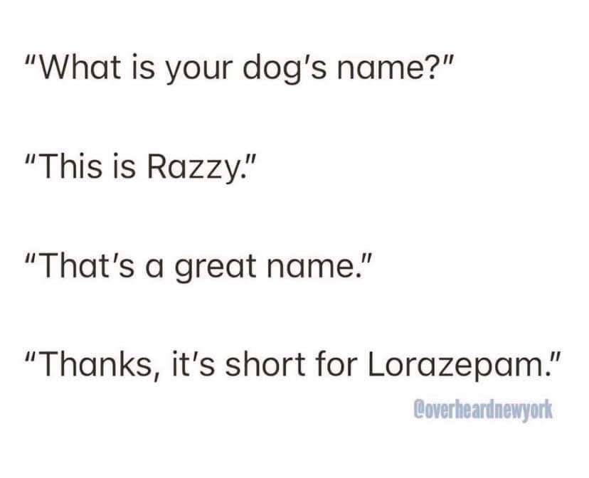 Wait, the dog's name is short for Lorazepam? lol