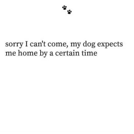 My dog literally has me on a curfew