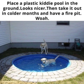 Wait, are we sure that's not a fancy dog pool?