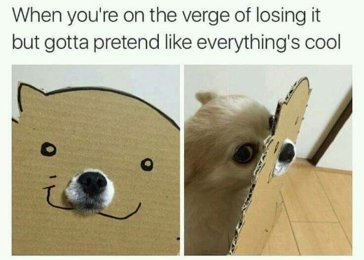 Me dealing with literally anything when I'm already overwhelmed
