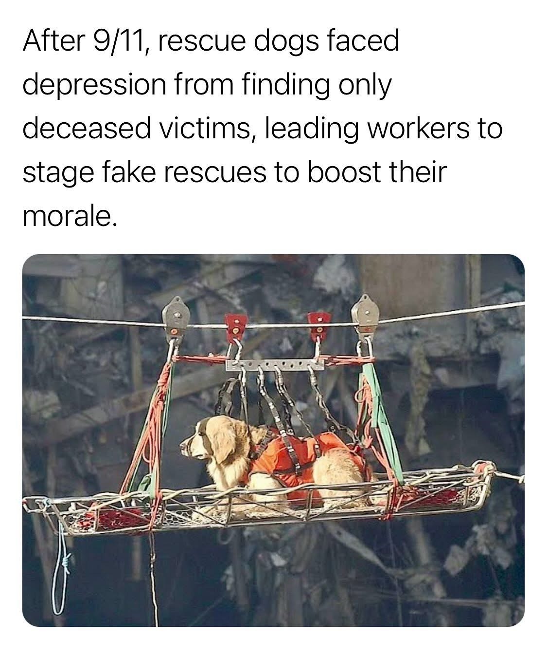 When you're so over your job but still gotta go through the motions