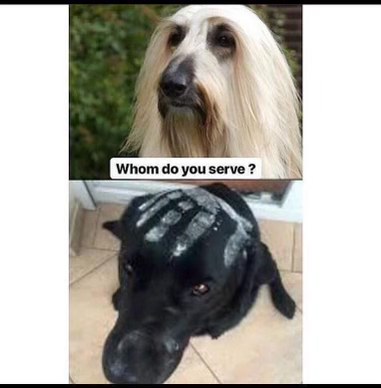 When the fluffy dog asks if you're serving good or evil, and you definitely chose evil.