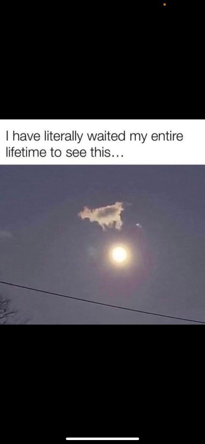OMG a cloud that looks exactly like my dog just appeared in the sky