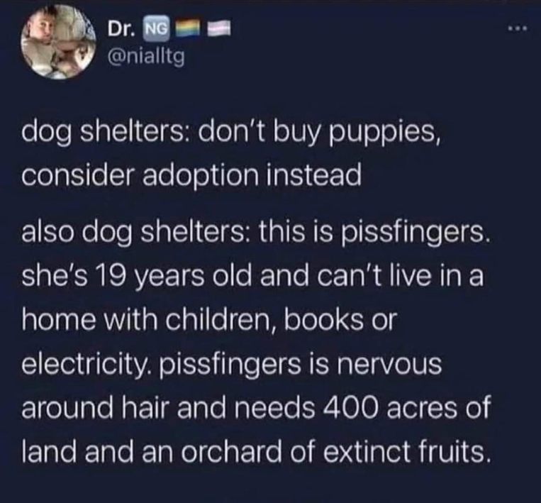 Dog shelters urging adoption but then presenting a dog with a ridiculously long list of impossible requirements lol