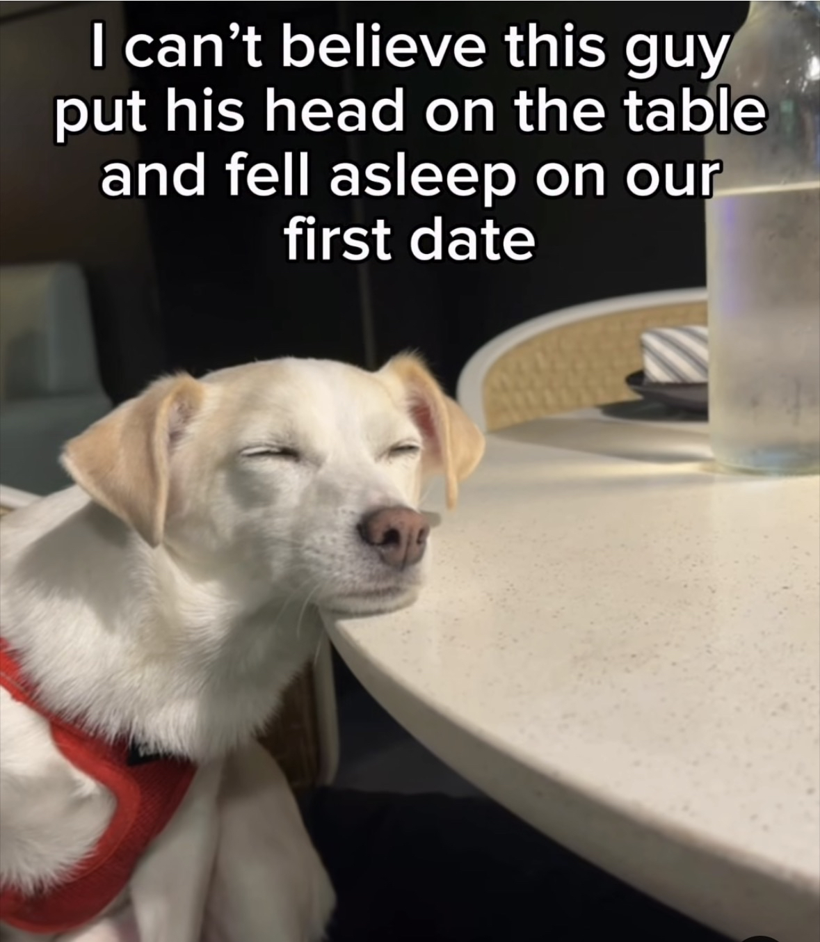 When you're so bored on a first date that you fall asleep on the table