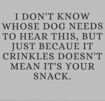 Someone's dog needs to hear this. Just 'cause it crinkles doesn't mean it's your snack