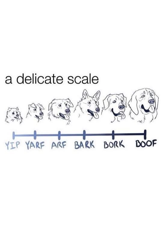 This scale perfectly illustrates how dog sounds escalate from a tiny yip to a mighty boof