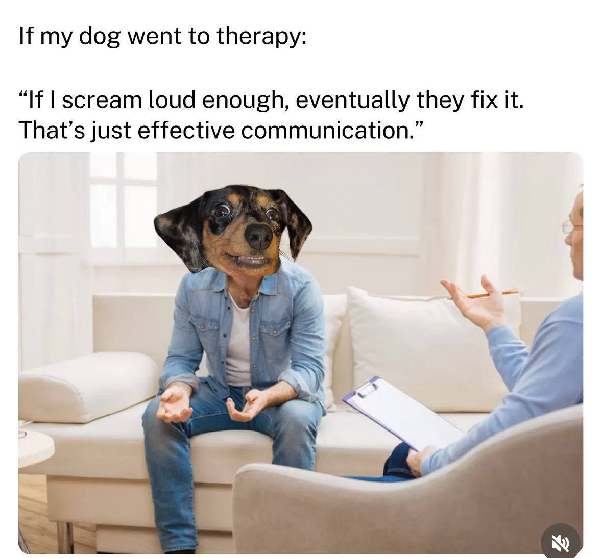 When your dog thinks barking incessantly is a valid form of communication in therapy