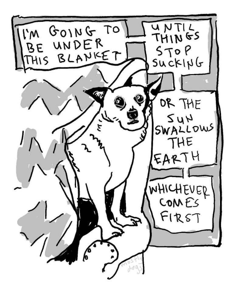 My plan for dealing with literally everything
