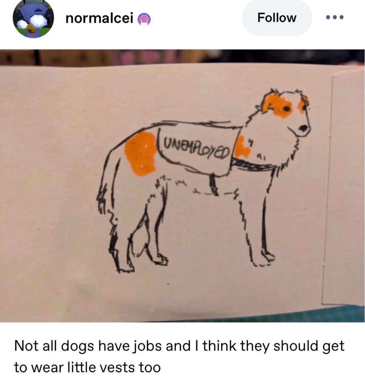 This dog is just like me after college, rocking the unemployed vest.