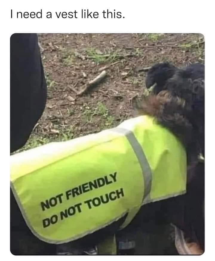 This vest basically sums up my social life.
