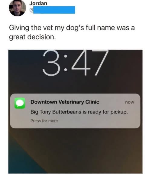 When you give your dog a ridiculous full name and get a notification from the vet