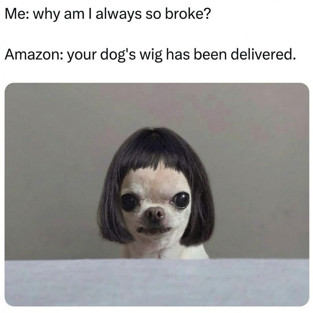 Me: why am I always so broke? Amazon: your dog's wig has been delivered.