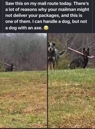 This mailman can handle a dog, but a dog with an axe is a dealbreaker.