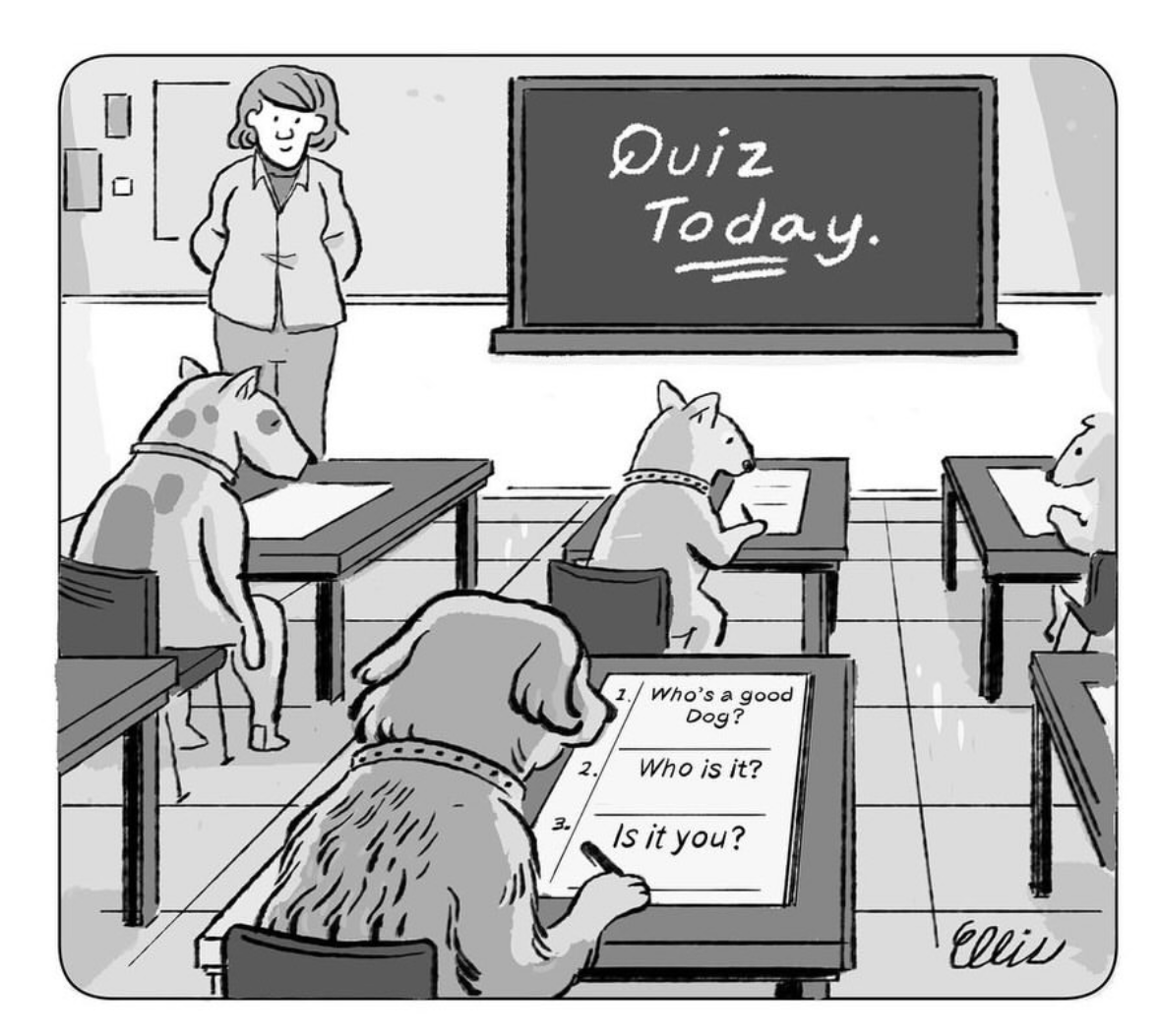 When your teacher asks the hardest question on the test and it's just "Who's a good dog?"