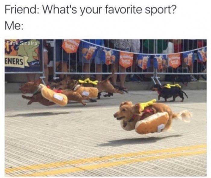 When your friend asks what your favorite sport is and you show them this