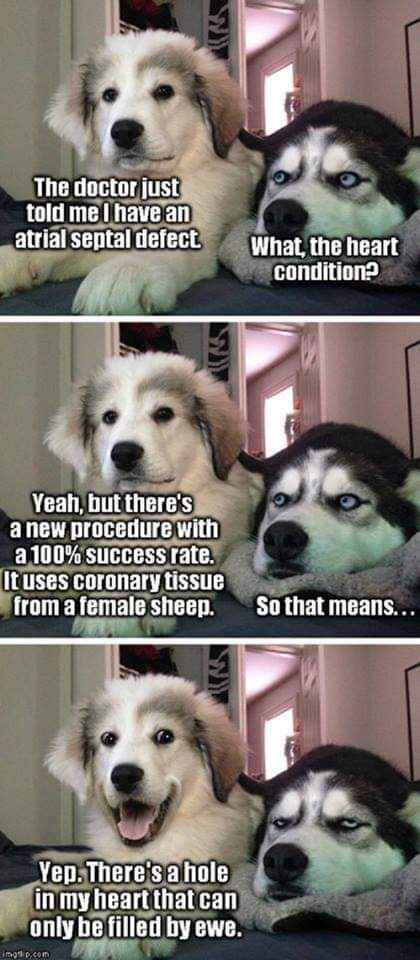 OMG the pun at the end is everything. My heart needs a sheep lol