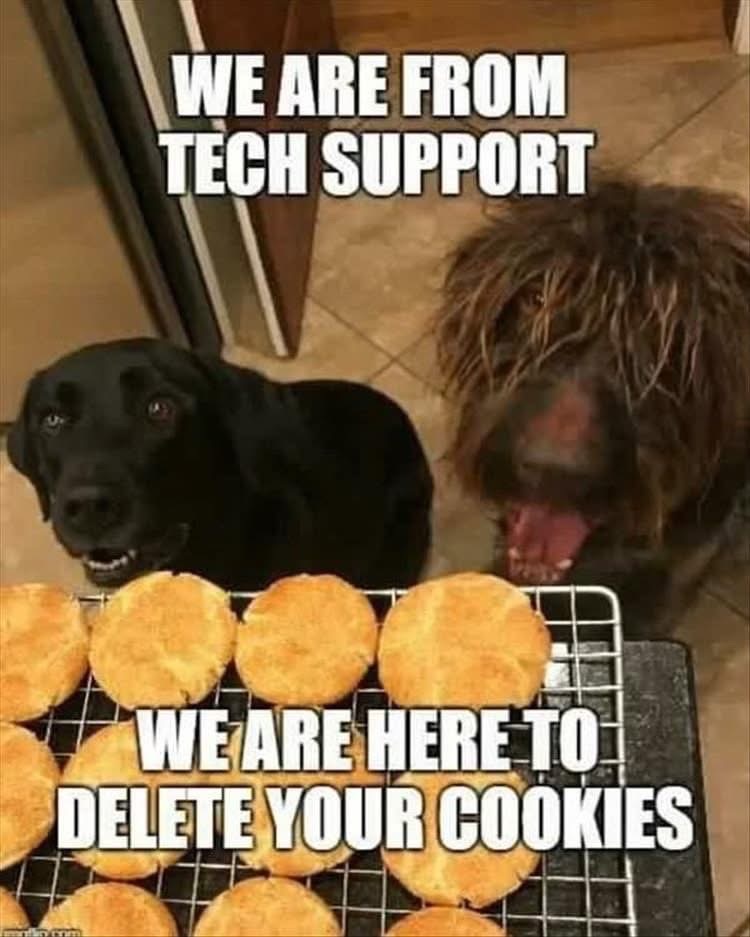 When the tech support is dogs and they're here to delete your cookies... literally.