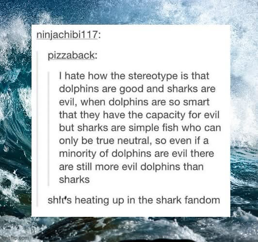 This person really said dolphins can be evil but sharks are just neutral