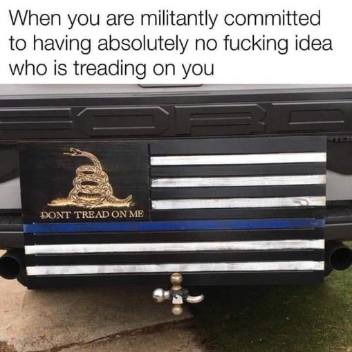 This flag says 'Don't Tread on Me' but also has a blue line and 'who is treading on you' in the text. It's a whole vibe.