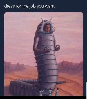 Me dressing for my job interview as a sandworm
