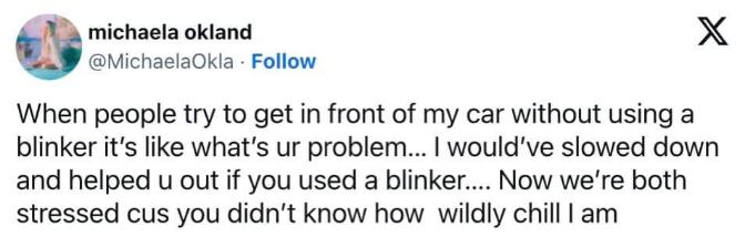 Seriously, if you just used your blinker, I would've helped you out. Now we're both stressed, thanks to you.