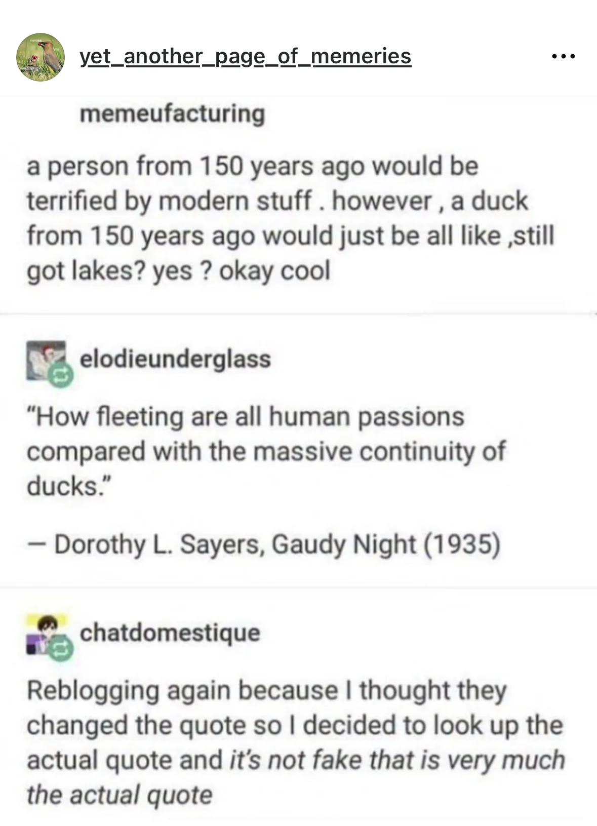 Basically, ducks have always been chill and probs will be forever