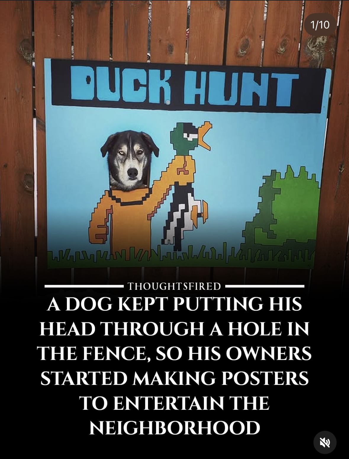 When your dog is tired of waiting for you to play Duck Hunt