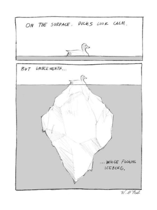 Me appearing to be chill but internally dealing with a whole ass iceberg of problems