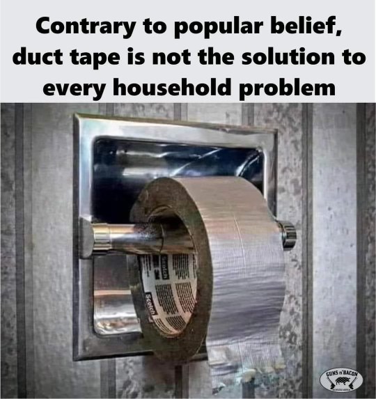 When you try to fix the toilet paper holder with duct tape bc you ran out of actual toilet paper